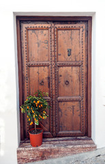 Door decorated with flower pots on a white wall