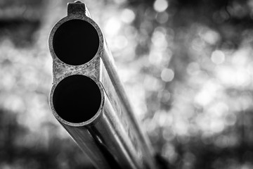 Vertical barrels of a hunting smooth-bore gun.