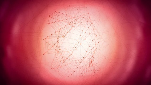 Red Light Motion Network