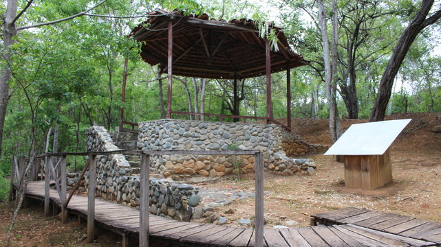 House in the Forest Puyango