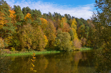 Fototapeta premium autumn