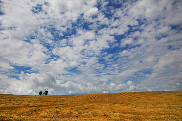 Fototapeta premium 丘に広がる雲
