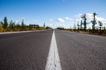 road / дорога