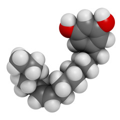 Bilobol ginkgo biloba molecule. 3D rendering. Atoms are represented as spheres with conventional color coding: hydrogen (white), carbon (grey), oxygen (red).