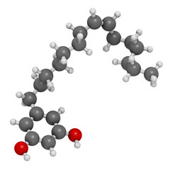 Bilobol ginkgo biloba molecule. 3D rendering. Atoms are represented as spheres with conventional color coding: hydrogen (white), carbon (grey), oxygen (red).