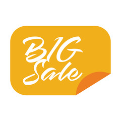 Big sale banner vector