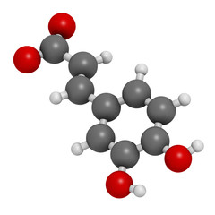 Caffeic acid molecule. Intermediate in the biosynthesis of lignin. 3D rendering. Atoms are represented as spheres with conventional color coding: hydrogen (white), carbon (grey), oxygen (red).