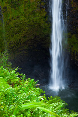 Obraz premium Wodospad na Hawajach