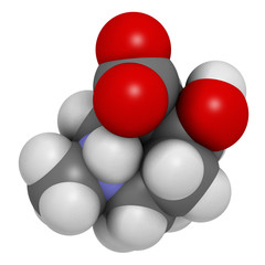 Ecgonine coca alkaloid molecule. Metabolite of cocaine. 3D rendering. Atoms are represented as spheres with conventional color coding: hydrogen (white), carbon (grey), oxygen (red), nitrogen (blue).