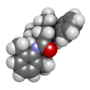 Denatonium bittering agent molecule. 3D rendering. Atoms are represented as spheres with conventional color coding: hydrogen (white), carbon (grey), oxygen (red), nitrogen (blue).