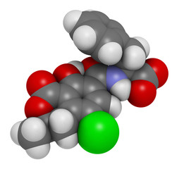 Ochratoxin A mycotoxin molecule. 3D rendering. Atoms are represented as spheres with conventional color coding: hydrogen (white), carbon (grey), oxygen (red), nitrogen (blue), chlorine (green).