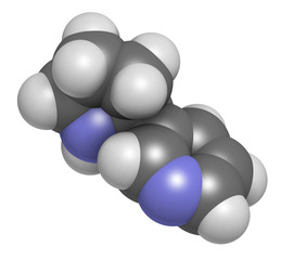 Nornicotine alkaloid molecule. Related to nicotine and also found in Nicotiana plants. 3D rendering. Atoms are represented as spheres with conventional color coding.