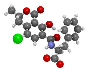 Ochratoxin A mycotoxin molecule. 3D rendering. Atoms are represented as spheres with conventional color coding: hydrogen (white), carbon (grey), oxygen (red), nitrogen (blue), chlorine (green).