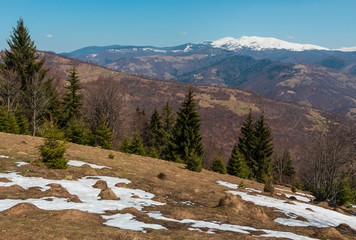 Early spring Carpathian mountains