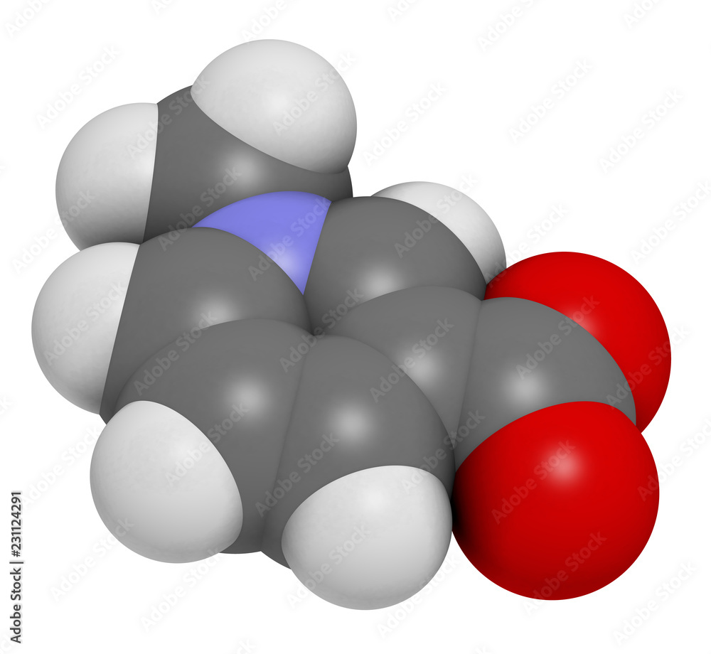 Canvas Prints Trigonelline molecule. Metabolite of niacin (vitamin B3) but also found in a number of plants, including fenugreek. 3D rendering. Atoms are represented as spheres with conventional color coding.