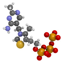 Thiamine triphosphate molecule. 3D rendering. Atoms are represented as spheres with conventional color coding.