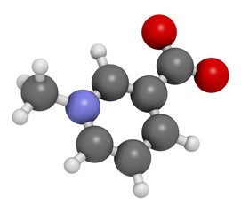 Trigonelline molecule. Metabolite of niacin (vitamin B3) but also found in a number of plants, including fenugreek. 3D rendering. Atoms are represented as spheres with conventional color coding.