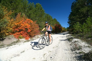 Naklejka premium A young woman riding a bike in the autumn forest.
