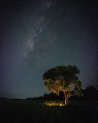 milky way at the field