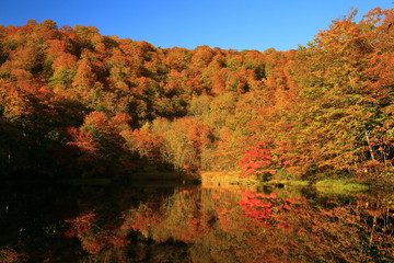 紅葉の菅沼
