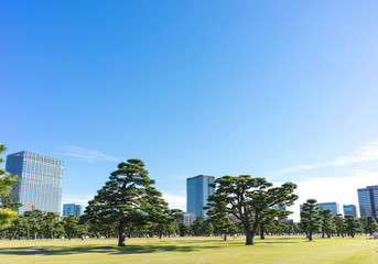 Fototapeta premium city view of Marunouchi Tokyo