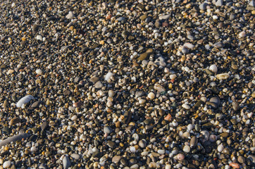 sea pebble on beach