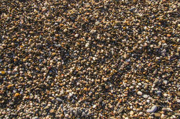 sea pebble on beach