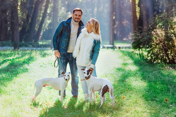 beautiful lovely young couple (woman and man) in jeans clothes walking with two whippet dogs...