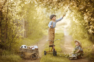 Little boy collects a bunch of bird cherry for Mom