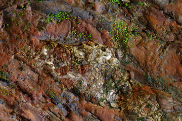 White limestone grunge on wet surface of old orange brick stone wall