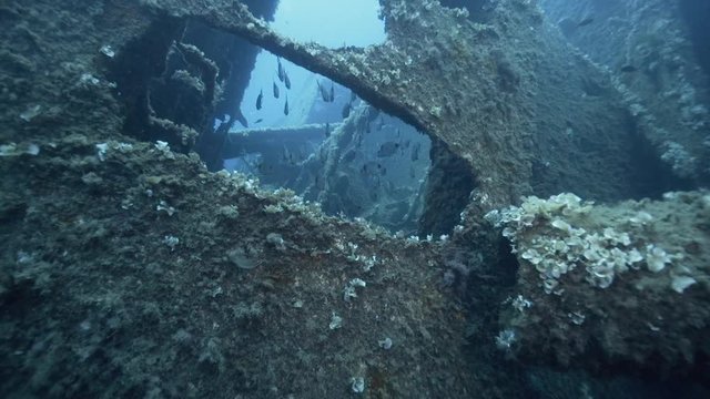 Wrack Deck 7