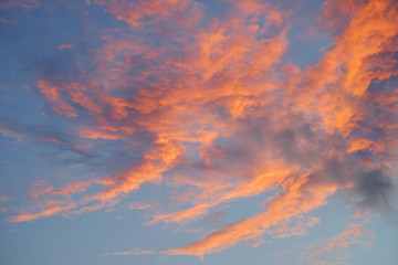 Pink cumulus clouds on dusk cloudy sky