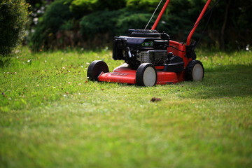 Blurred background of the home garden and lawn mower on mown grass.