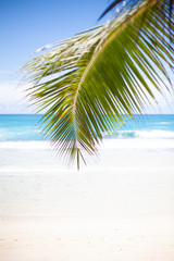 Landscape photo of beautiful white sand exotic beach on Mahe island in Seychelles