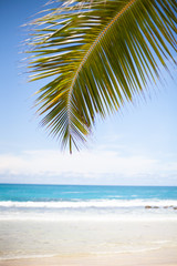 Fototapeta na wymiar Landscape photo of beautiful white sand exotic beach on Mahe island in Seychelles