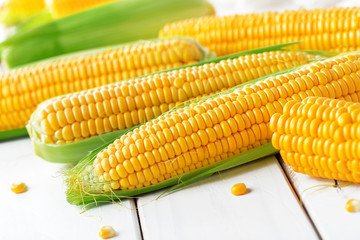 Raw corn on a wooden table