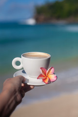 Hand holding cup of coffee over the tropic ocean
