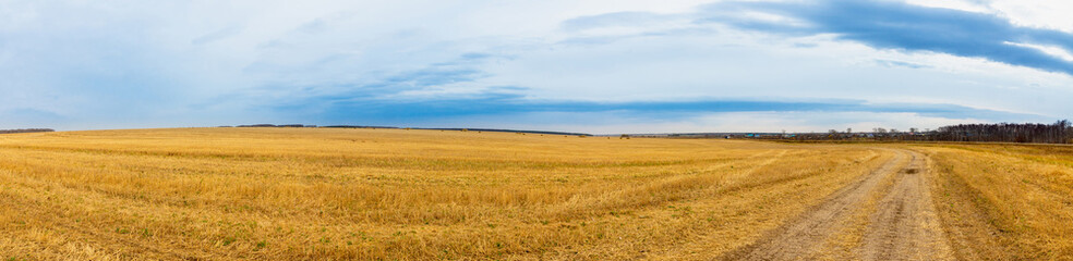 Fototapeta premium Beautiful panorama landscape of golden field and dark stormy sky. Autumn morning in countryside. 