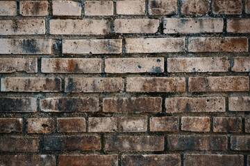 brick wall BROWN WHITE