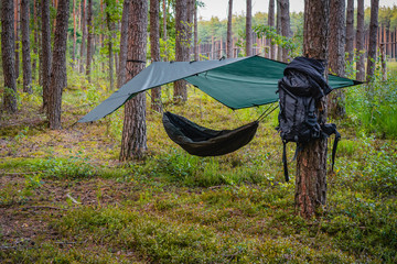 Tree hammock tent hanging out in the wild forest on a summer day