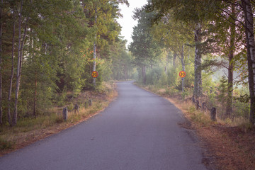 Lonely road with speed limit signs, twisting through trees, misty summer morning