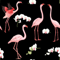 Seamless pattern, background with tropical birds