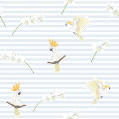 Seamless pattern, background with tropical birds