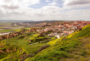 Fototapeta na wymiar Fields of Toro in Zamora