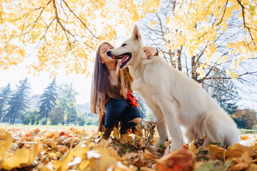 girl walks at autumn park with young white Swiss shepherd dog