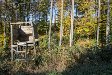 Hochsitz im herbstlichen Wald 