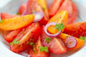 Traditional Italian salad with fresh tomatoes, onions and olive oil
