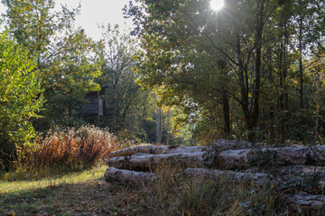 Hochsitz im herbstlichen Wald 