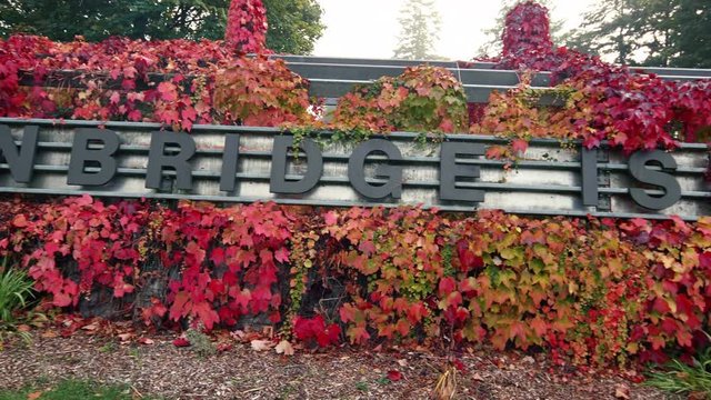 Bainbridge Island Sign by Autumn Leaves in Fall Season Colors