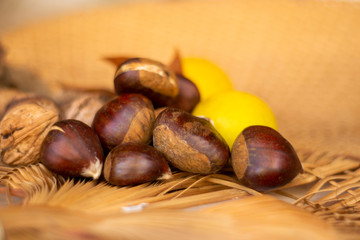 Frutos de otoño (Autumn fruit).